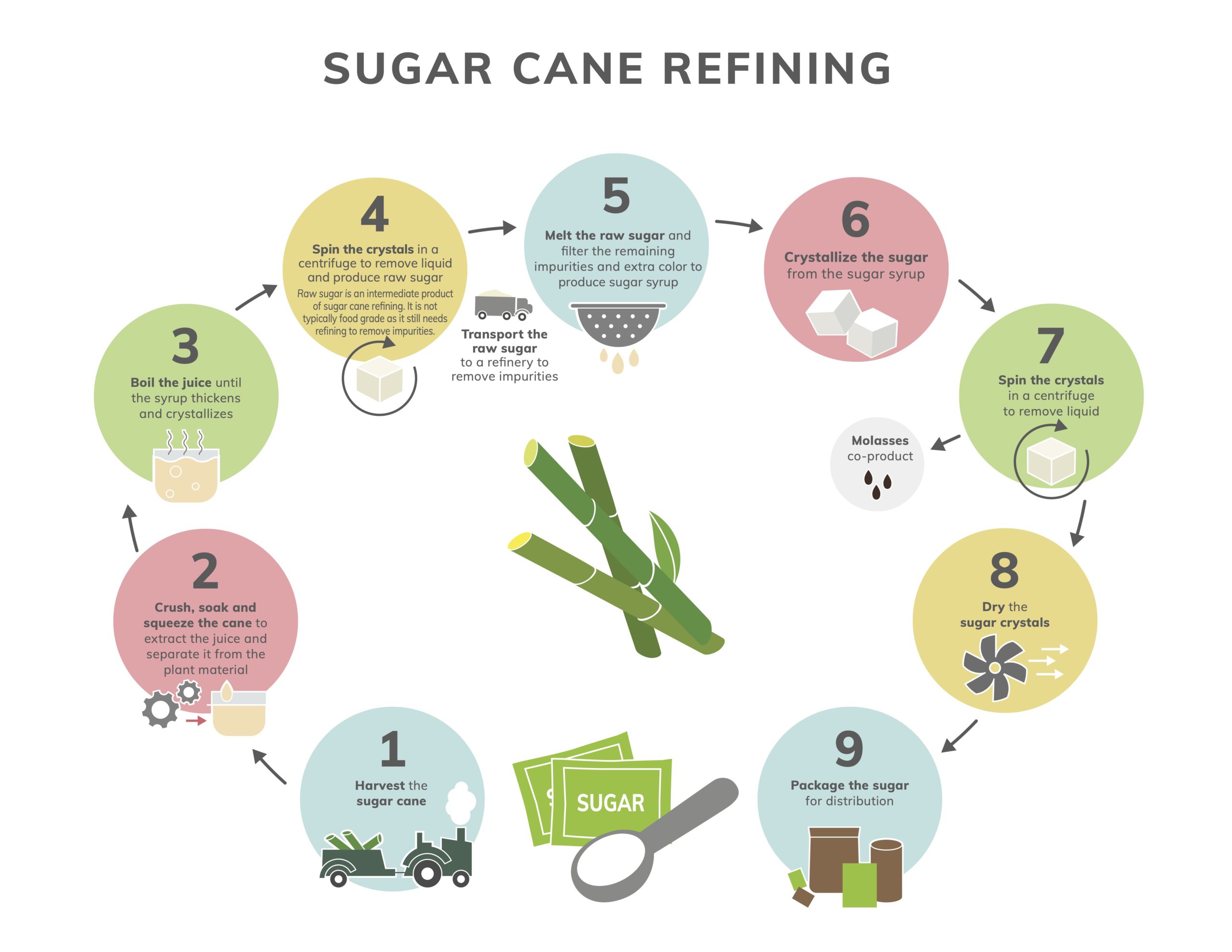 sugar cane refining