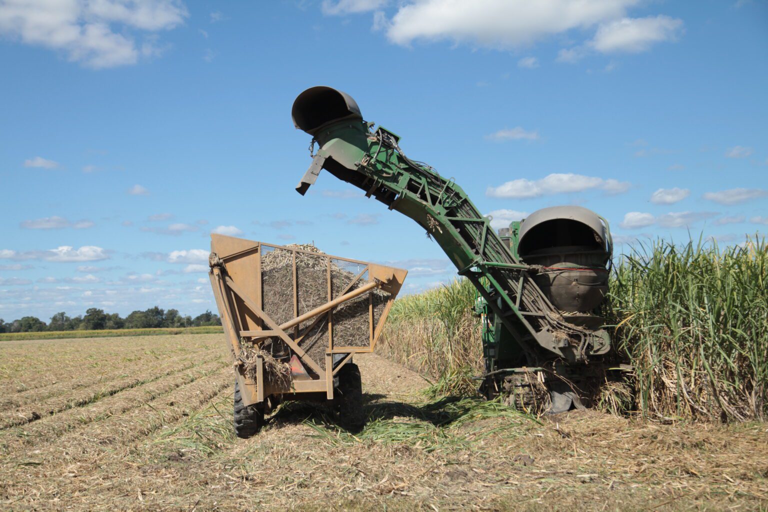 Specialized Equipment for Sugar Cane Farmers | The Sugar Association