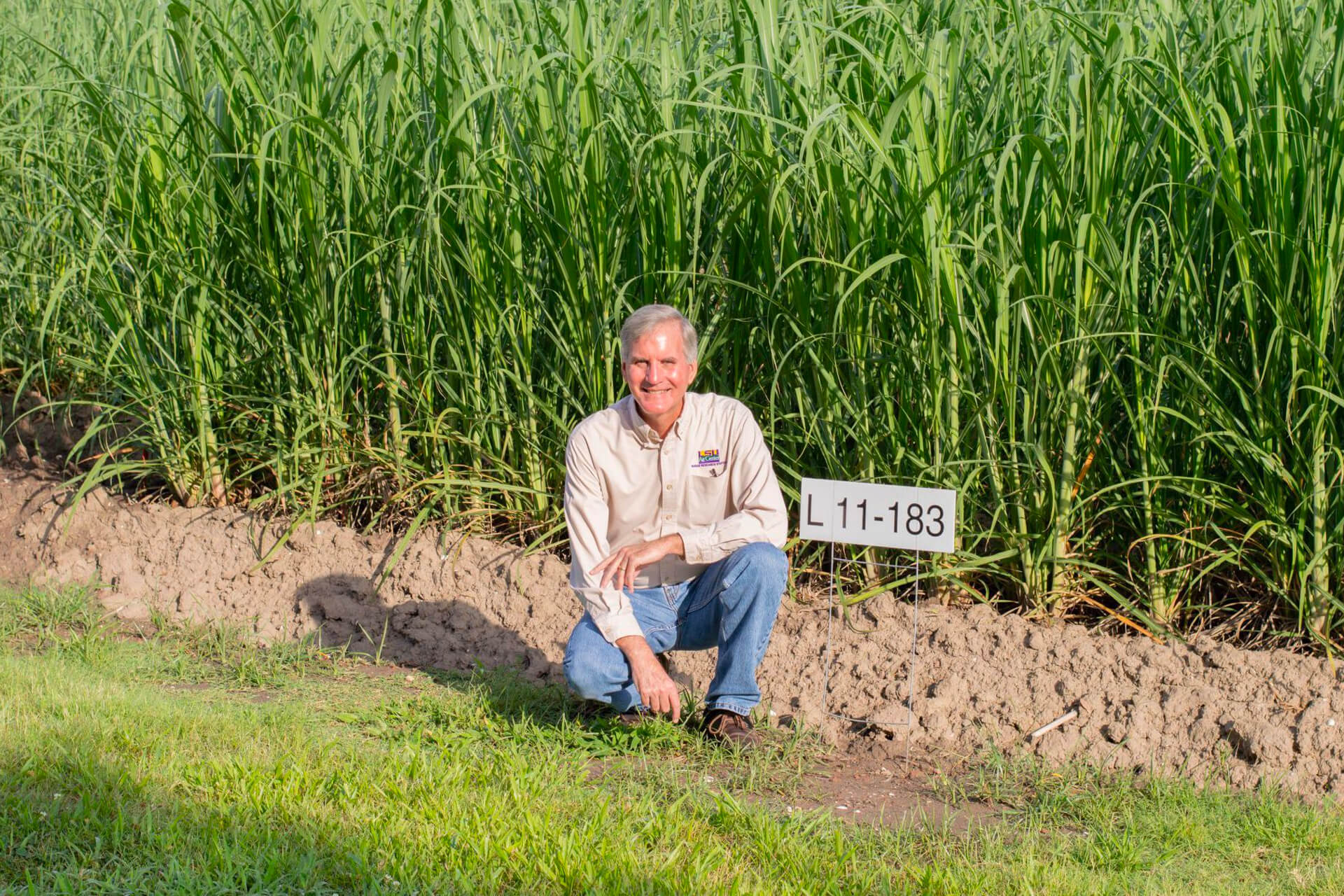 sugar worker