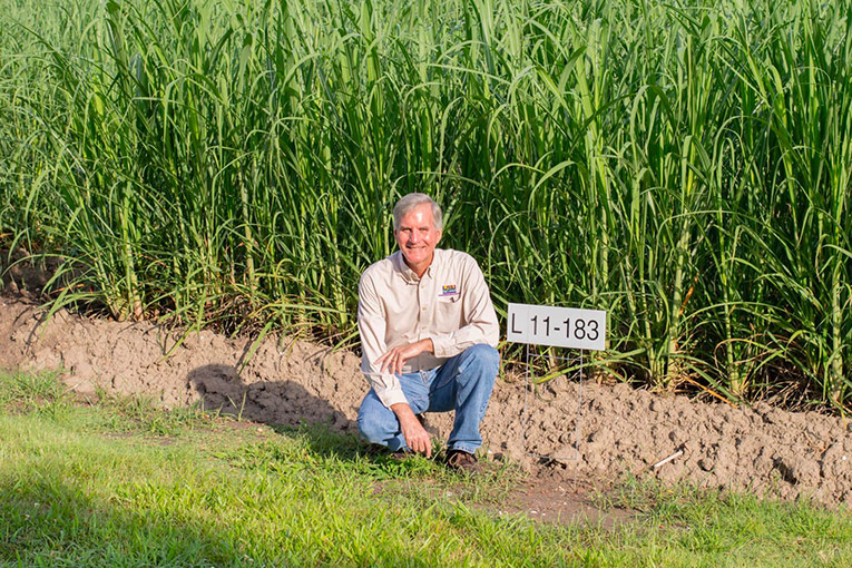 sugar farmer Kenneth Gravois
