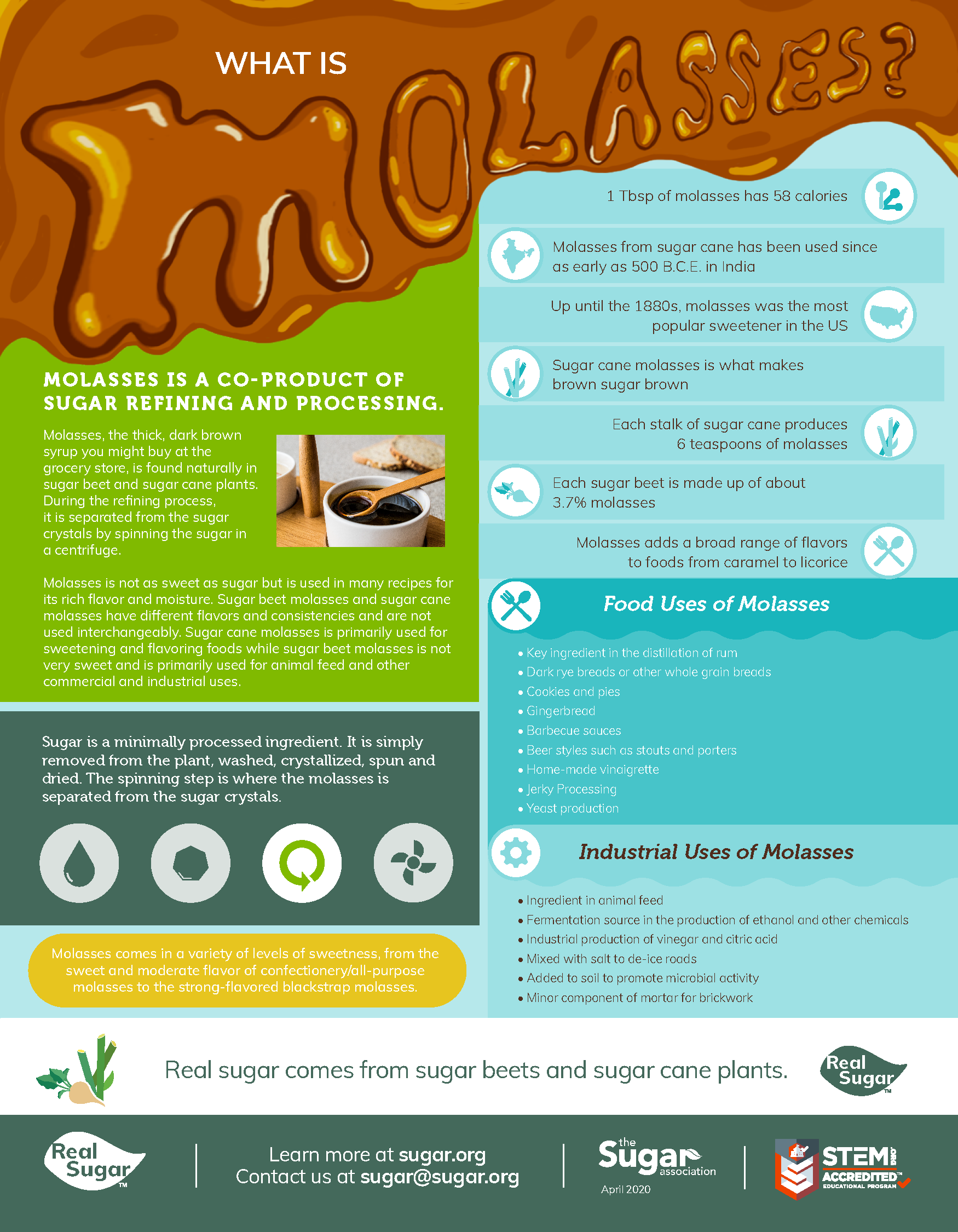 Molasses-Infographic