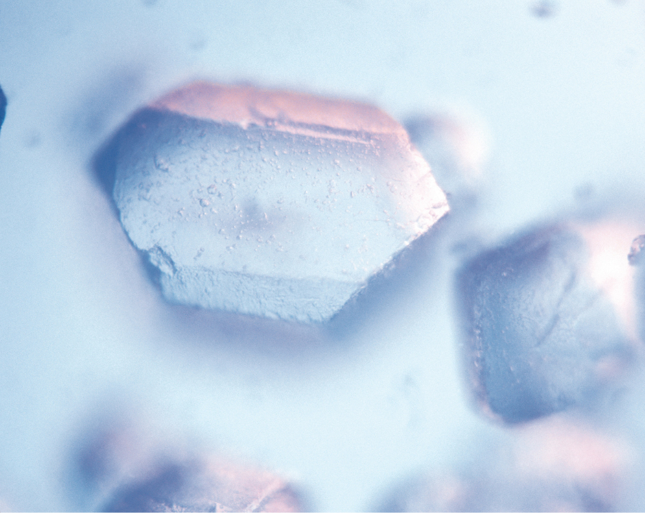 Sugar crystals magnified 100x