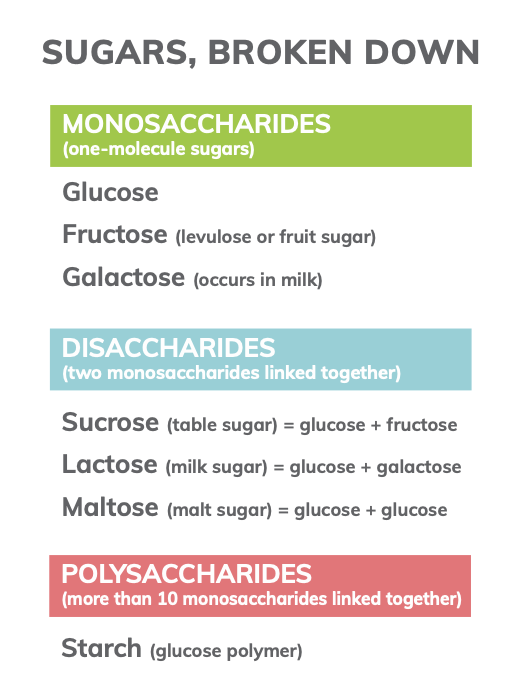 sugars broken down