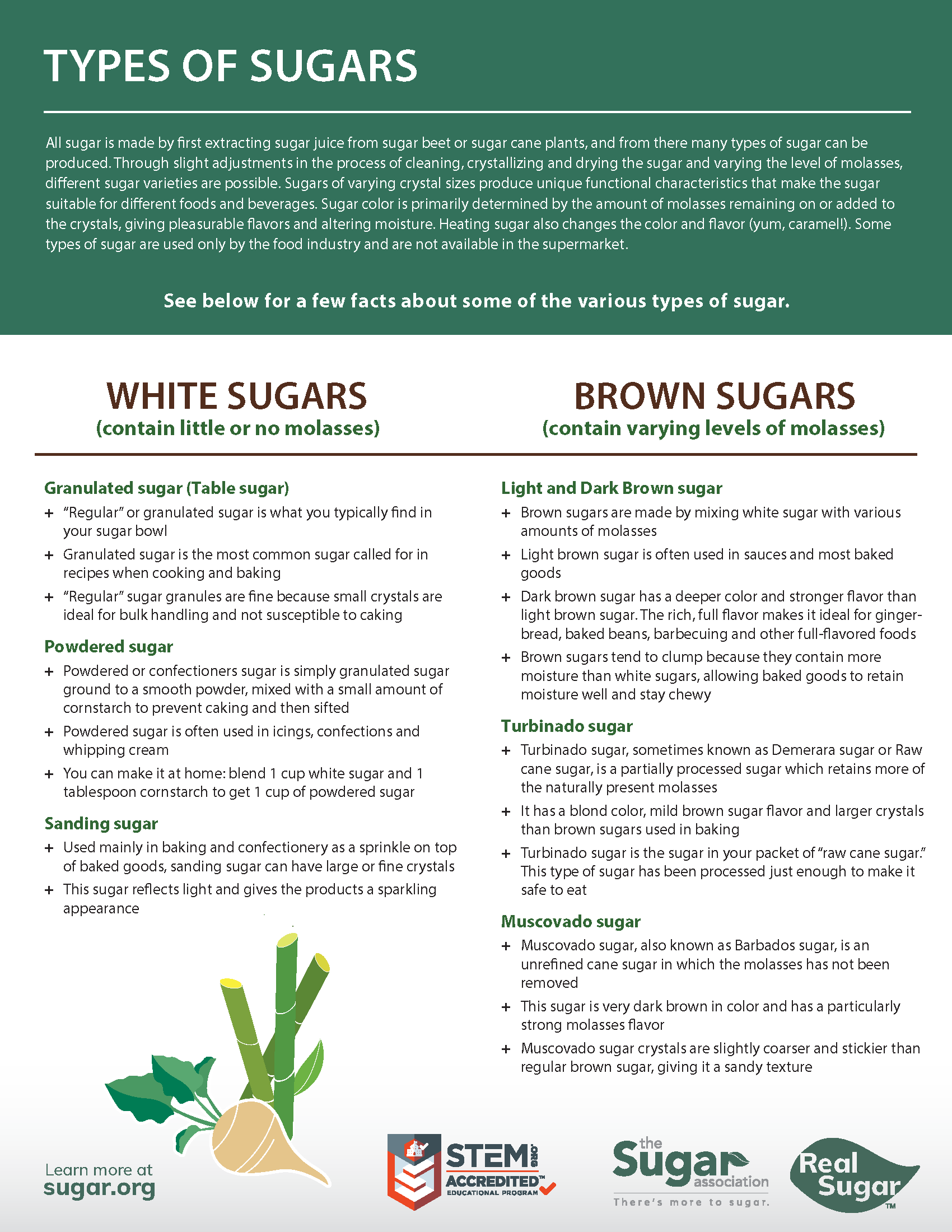 Types of Sugar infographic